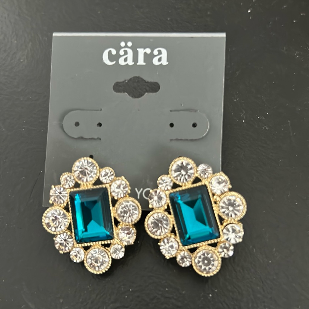 Cara Nwt Fashion Earrings